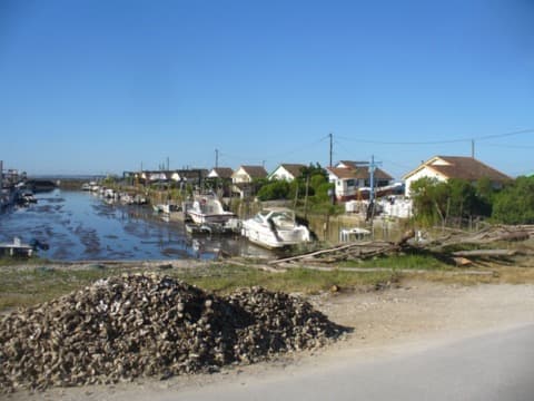Élagueur Arès