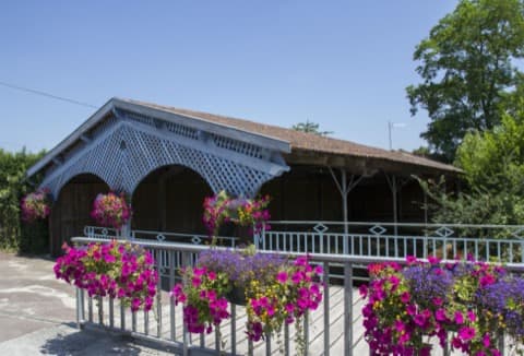 Élagueur Castelnau-de-Médoc