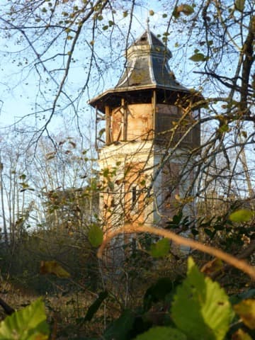 Élagueur Cestas