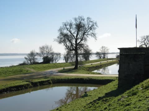 Élagueur Cussac-Fort-Médoc