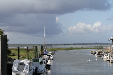 Élagueur Lanton
