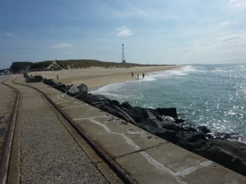 Élagueur Le Verdon-sur-Mer