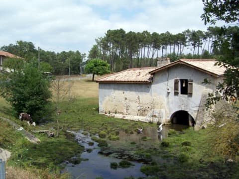 Élagueur Lerm-et-Musset