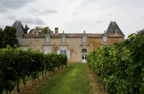 Élagueur Quinsac