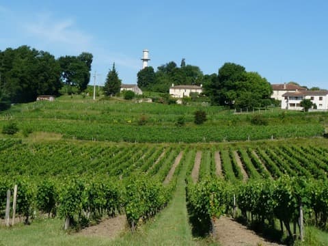 Élagueur Saint-Cibard