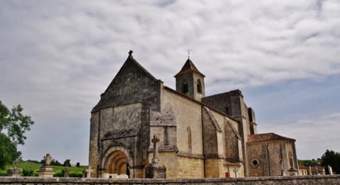 Élagueur Saint-Étienne-de-Lisse