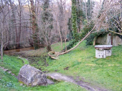 Élagueur Saint-Léger-de-Balson