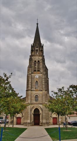 Élagueur Saint-Médard-de-Guizières