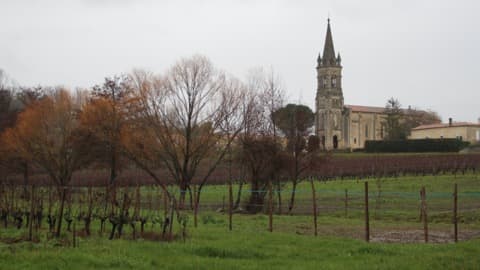 Élagueur Saint-Seurin-de-Bourg