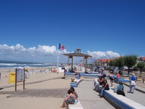 Élagueur Soulac-sur-Mer